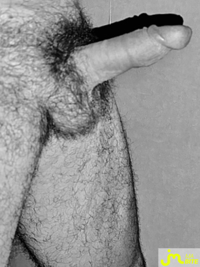 bites de Lesvieuxamants