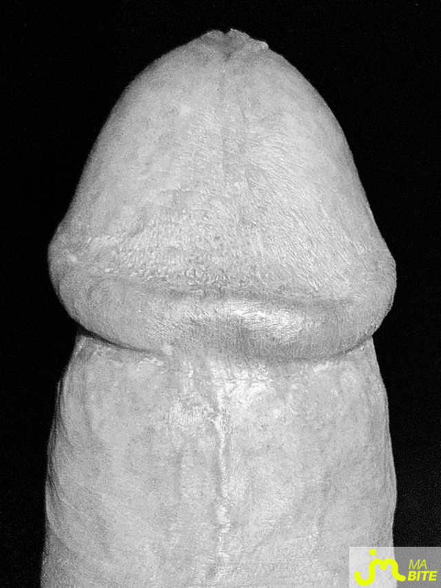 bites de Lesvieuxamants