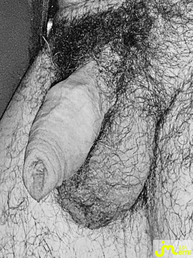 bites de Lesvieuxamants