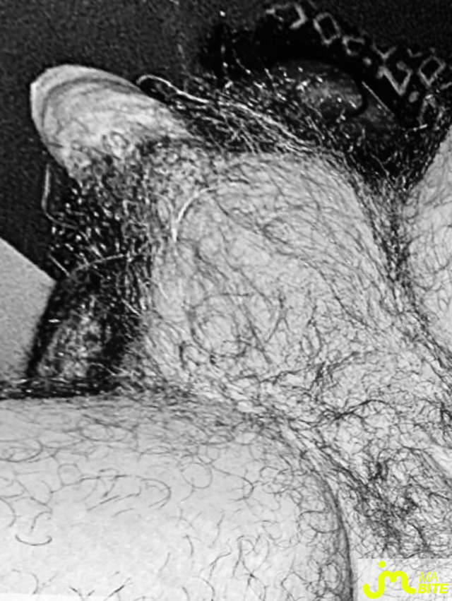 bites de Lesvieuxamants