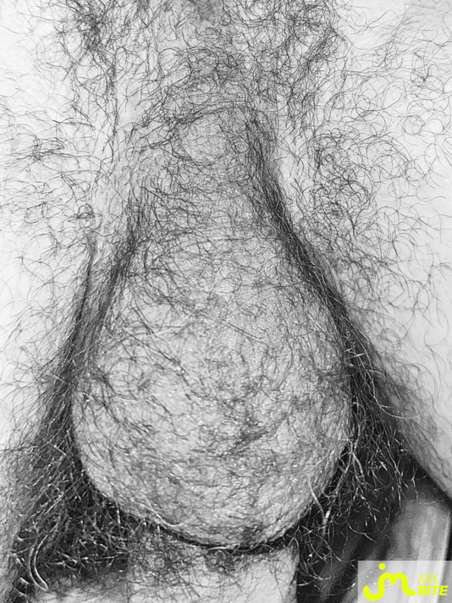 bites de Lesvieuxamants