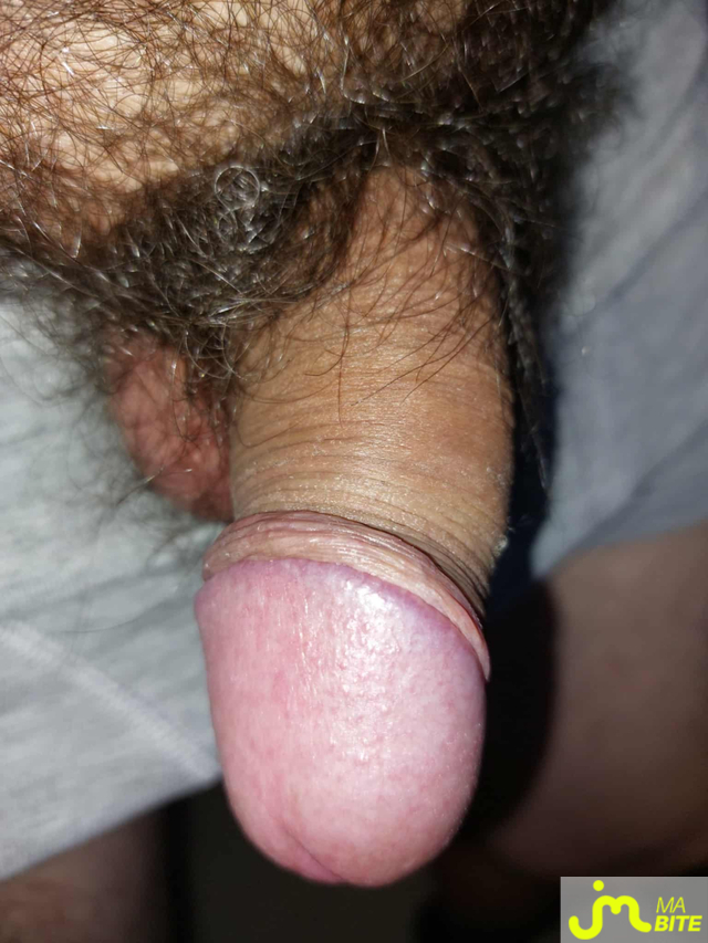 bites de Couple Calin