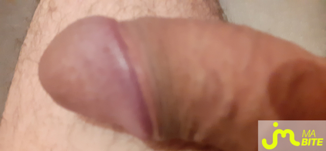 bites de readyplayer1