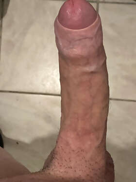 Photos de bites : Bonjour 