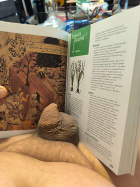 Photos de bites : Un peu de lecture 