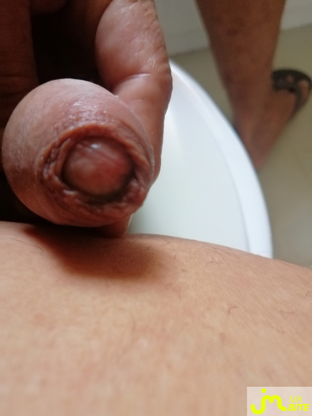 bites de Le Grand Houdini