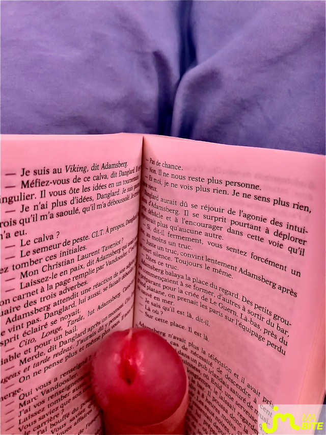 bites de Vincent du 78