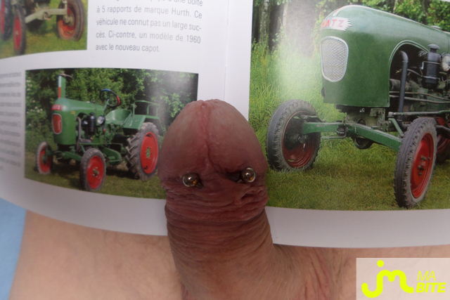 bites de brigkaloo.61