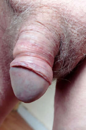 Photos de bites : ma petite bite