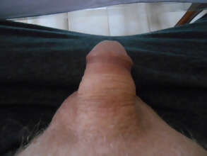 Photos de bites : Vues quotidiennes.