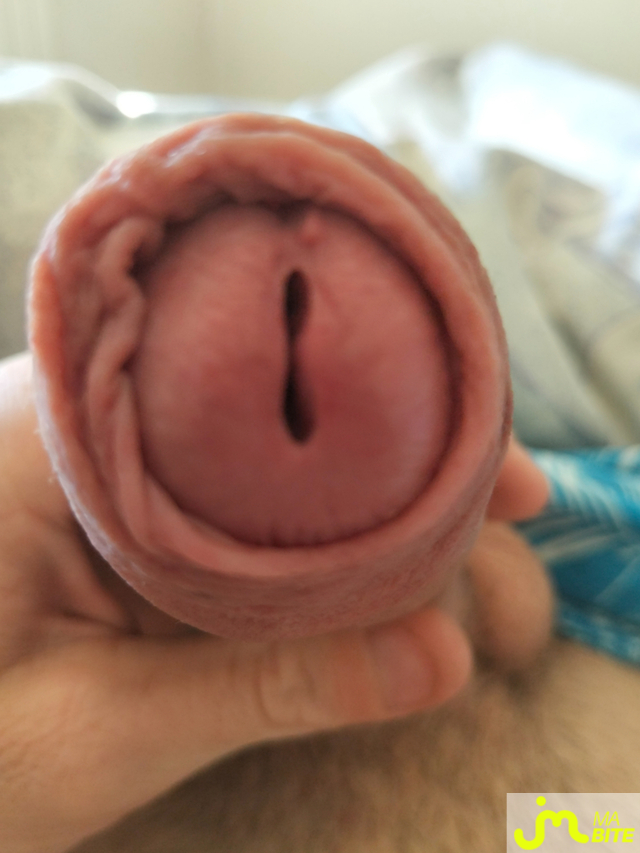 bites de Grosse bite0987