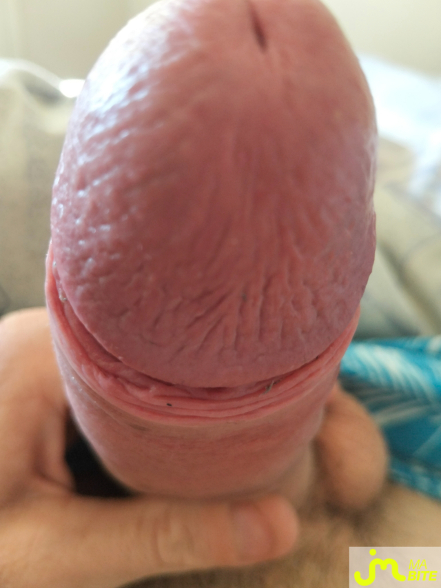 bites de Grosse bite0987