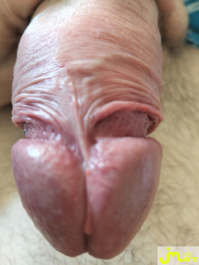 bites de Grosse bite0987