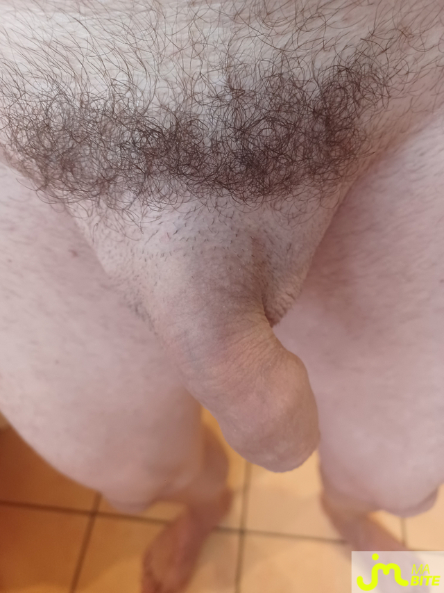 bites de Paskal74800