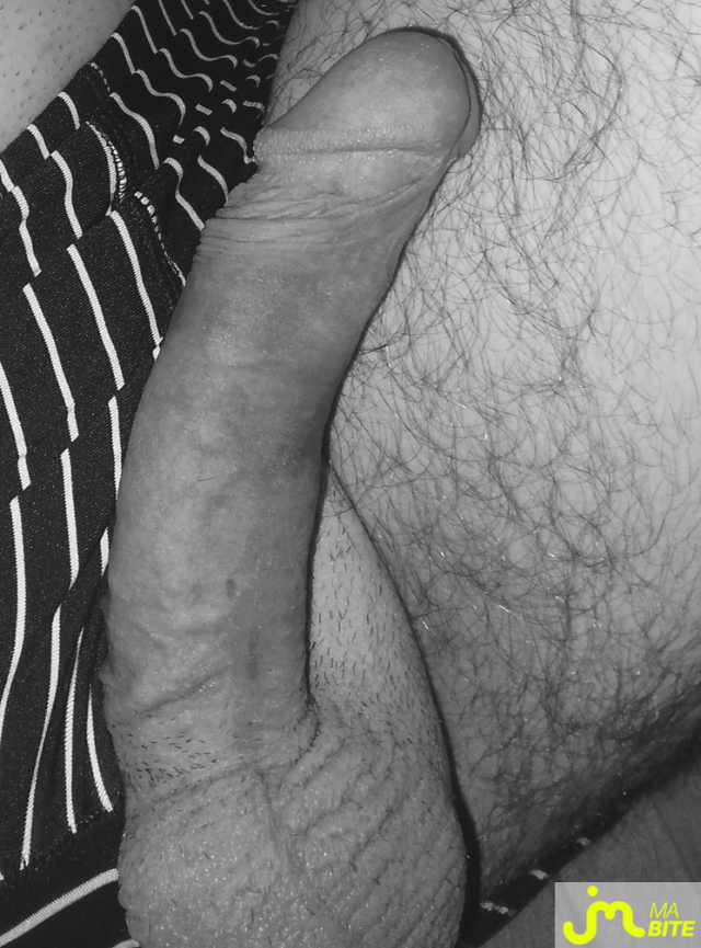 bites de Cocufieurjoe