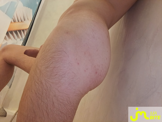 bites de Camerone6901