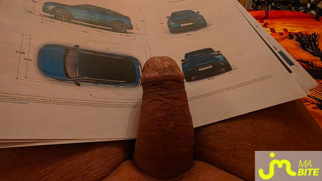 Photos de bites : Ma bire en pleine lecture 