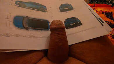 Photos de bites : Ma bire en pleine lecture 