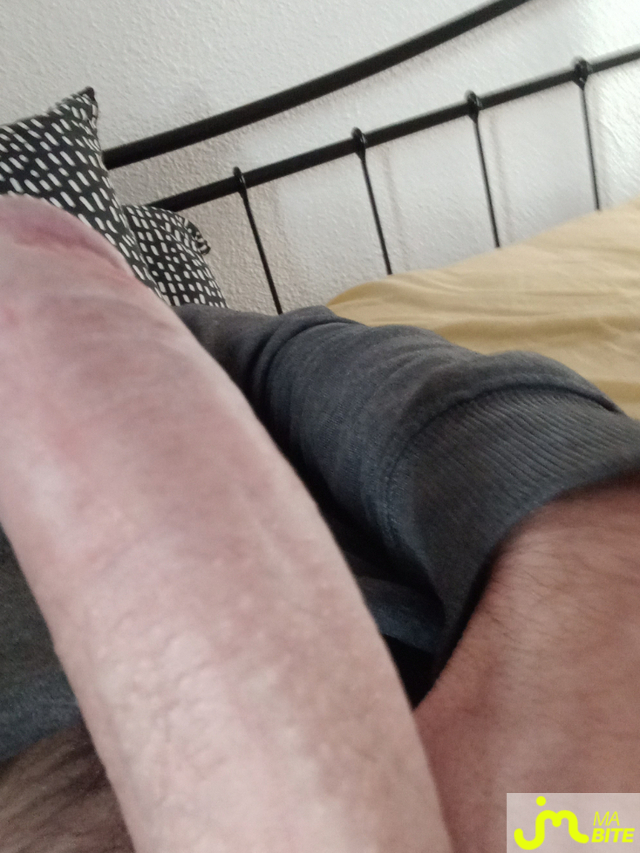 bites de alexandred2291