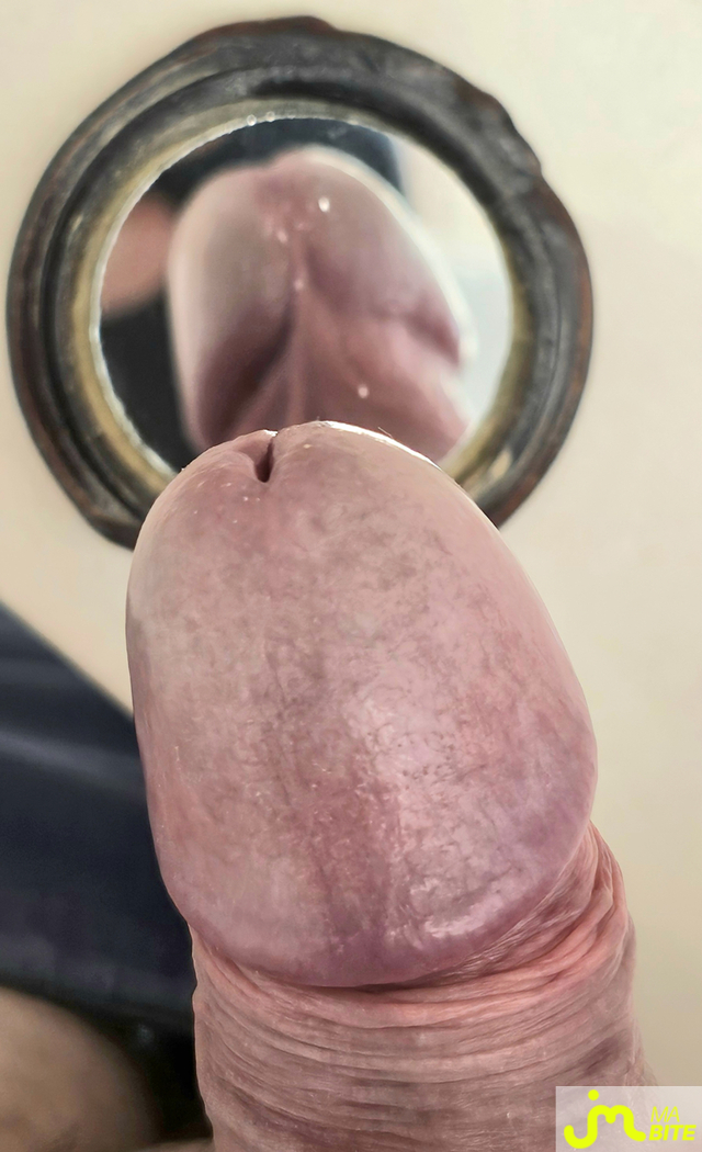 bites de gland_à_téter