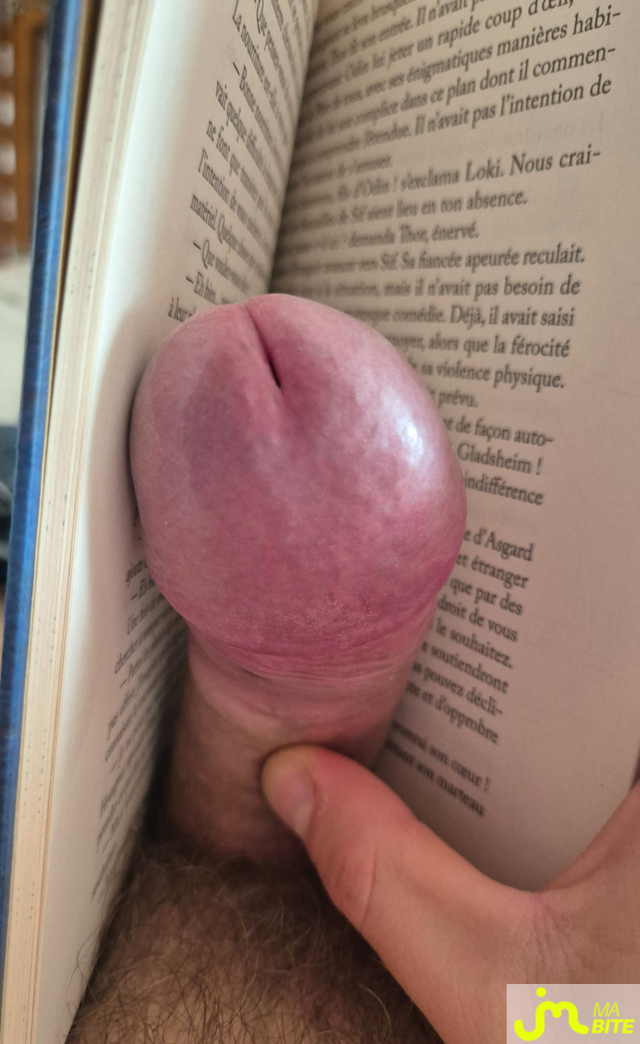 Photos de bites : Marqué page occssionel