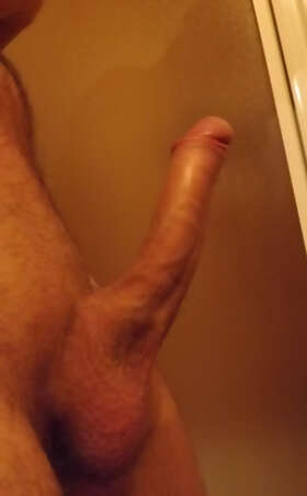 Photos de bites : La bite a Monsieur