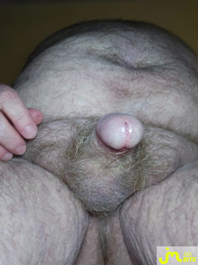 bites de Jean michel89