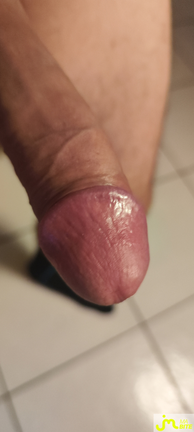 bites de Guillaume 16