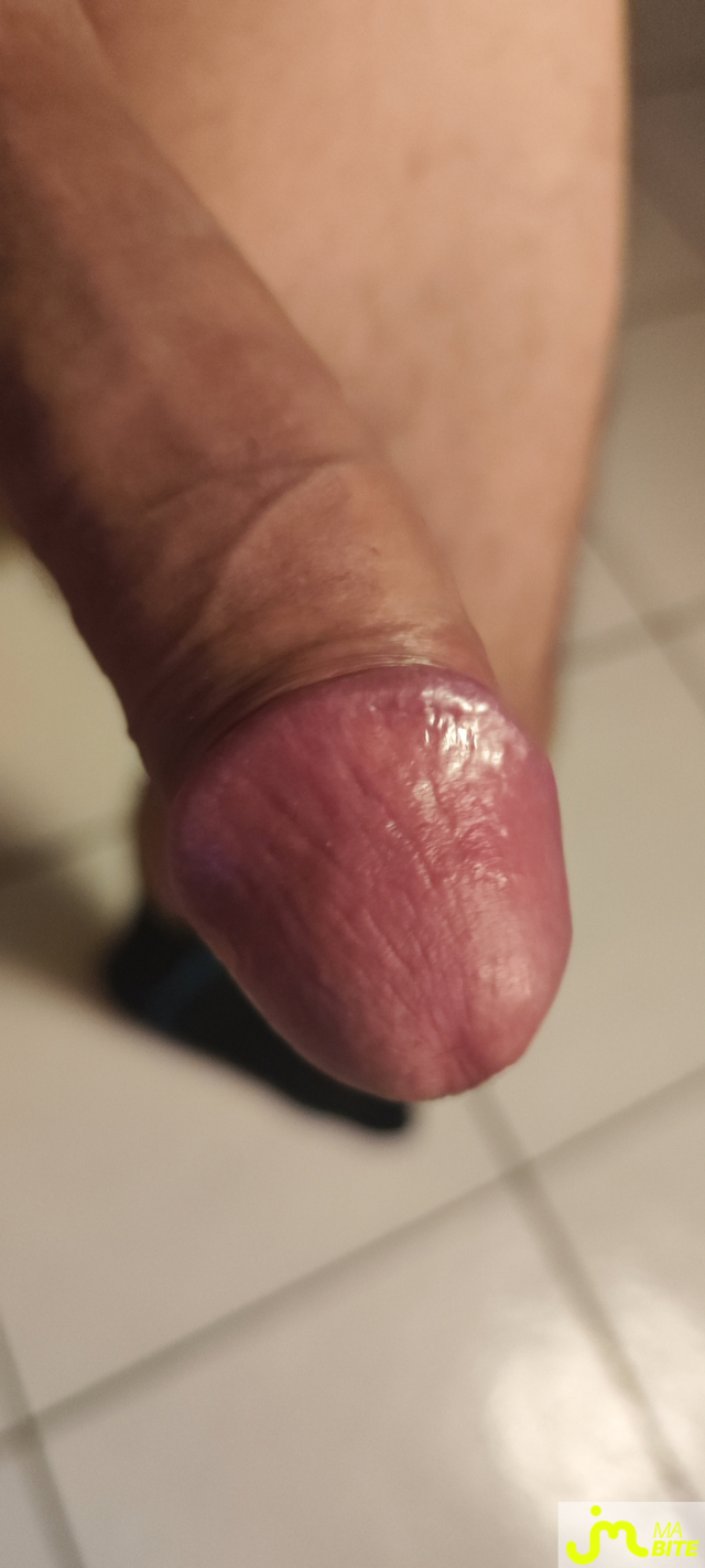 bites de Guillaume 16