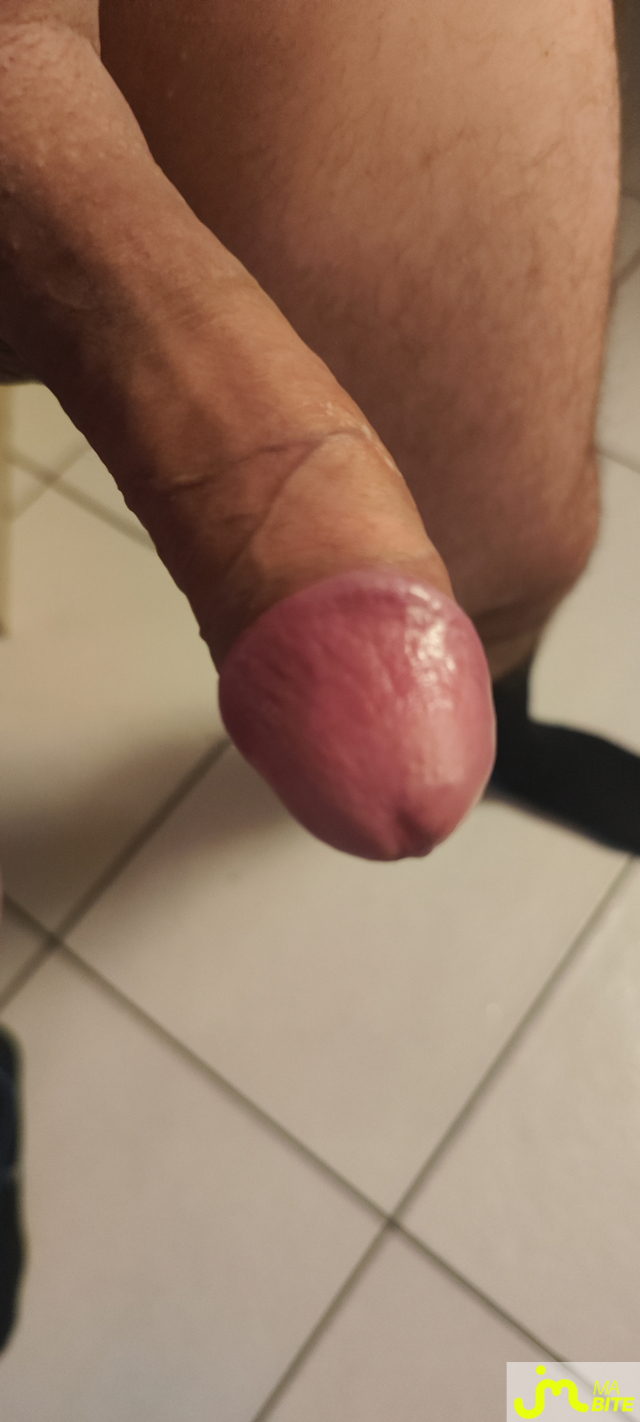 bites de Guillaume 16