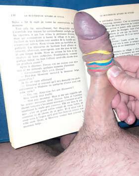 Photos de bites : Lecture novembre 2025