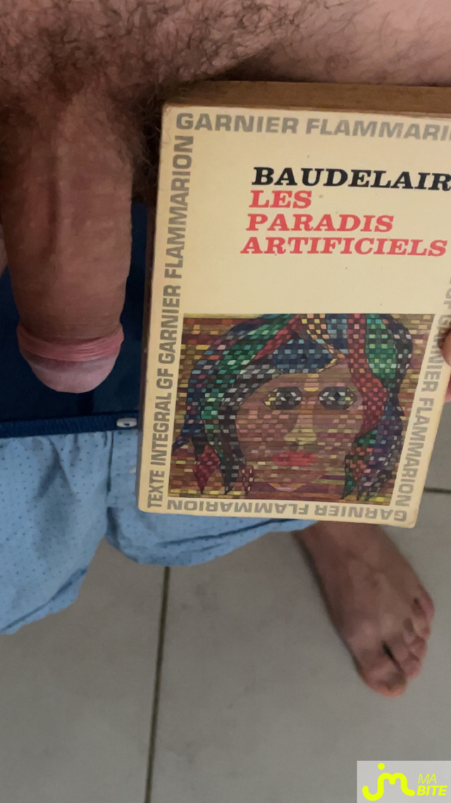 Photos de bites : JMMB 