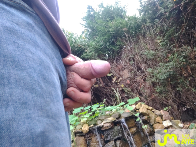 bites de Julien08000