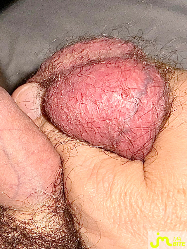 bites de Lesvieuxamants