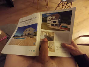 Photos de bites : Recherche maison 