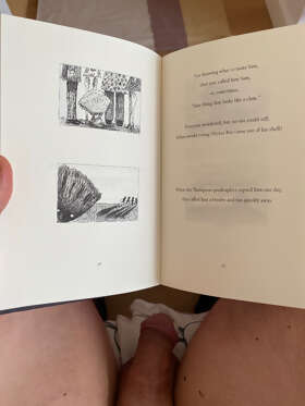 Photos de bites : Marque page 