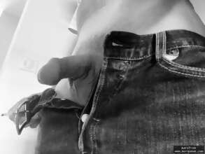 Photos de bites : Première exposition 