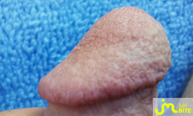 bites de v&eacute;v&eacute;94