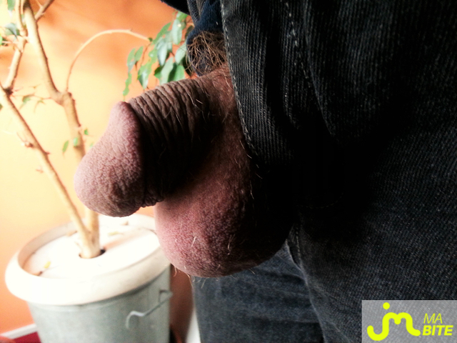 bites de v&eacute;v&eacute;94