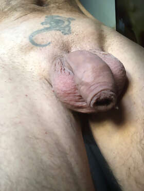 Photos de bites : Week-end 