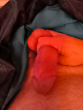 Photos de bites : De bon matin 