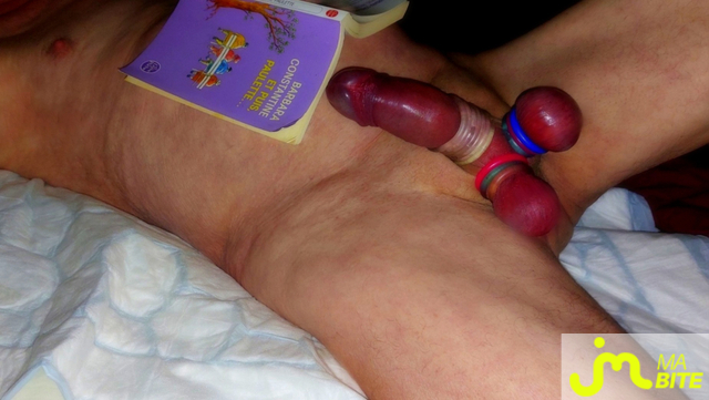 bites de Vxmâlebi46