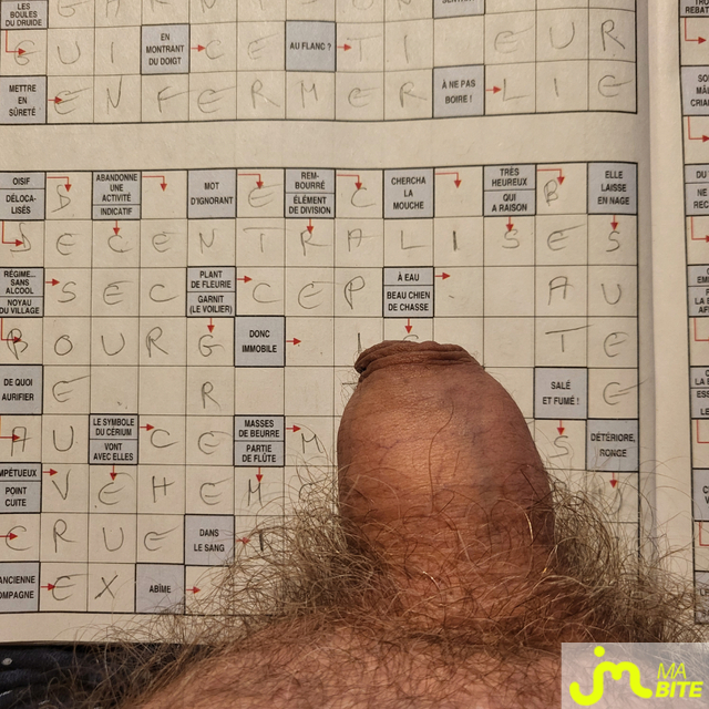 Photos de bites : lecture et jeux 