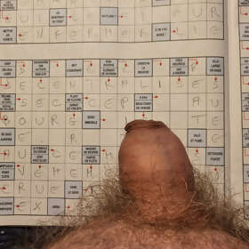 Photos de bites : lecture et jeux 