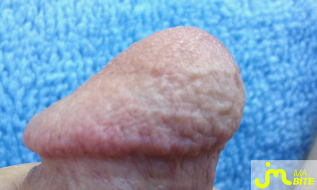 bites de v&eacute;v&eacute;94