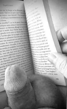 Photos de bites : Apostrophe 