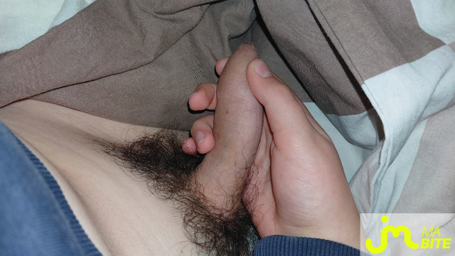 Photos de bites : Première contribution 