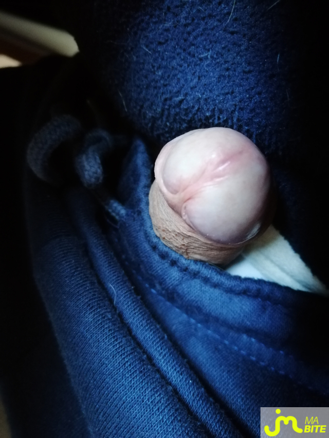 bites de Le Grand Houdini