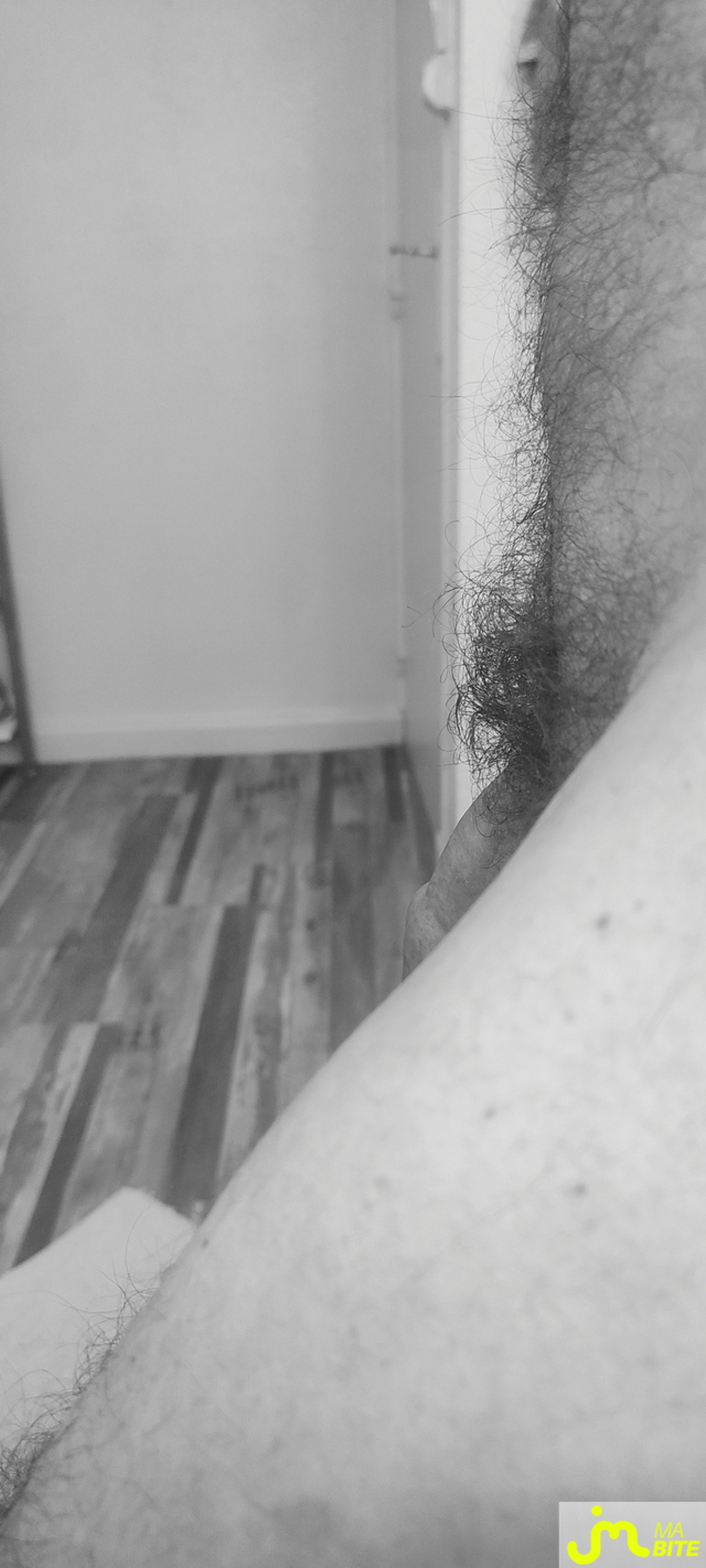 bites de Jeocruz3419