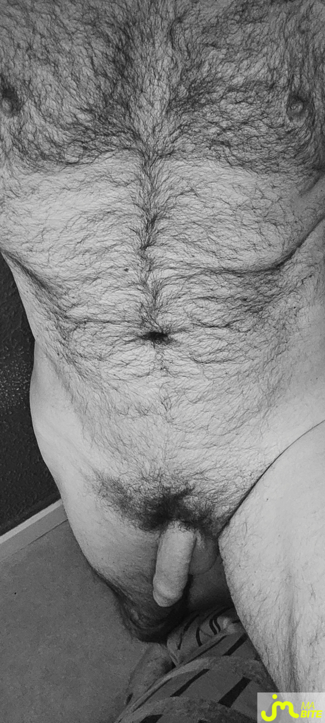 bites de Jeocruz3419